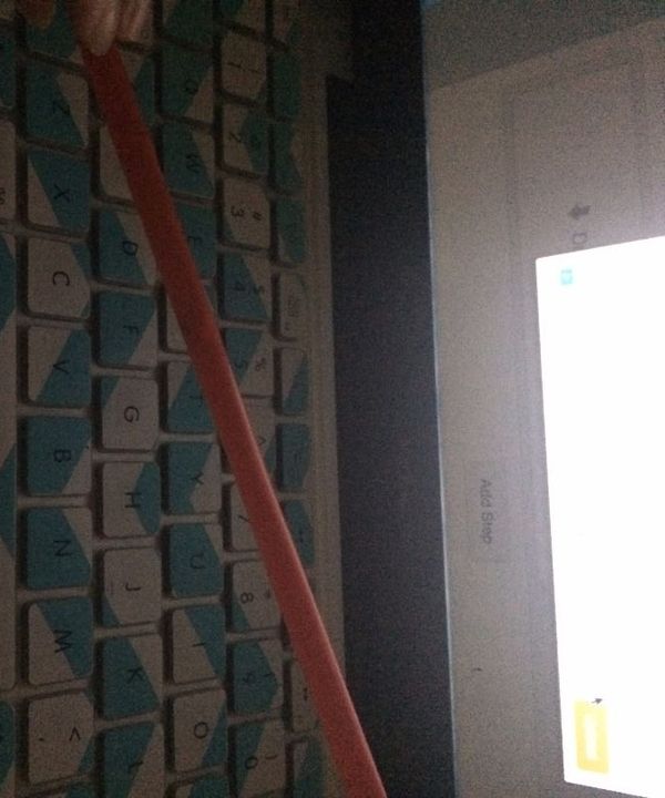 Straw Whistle