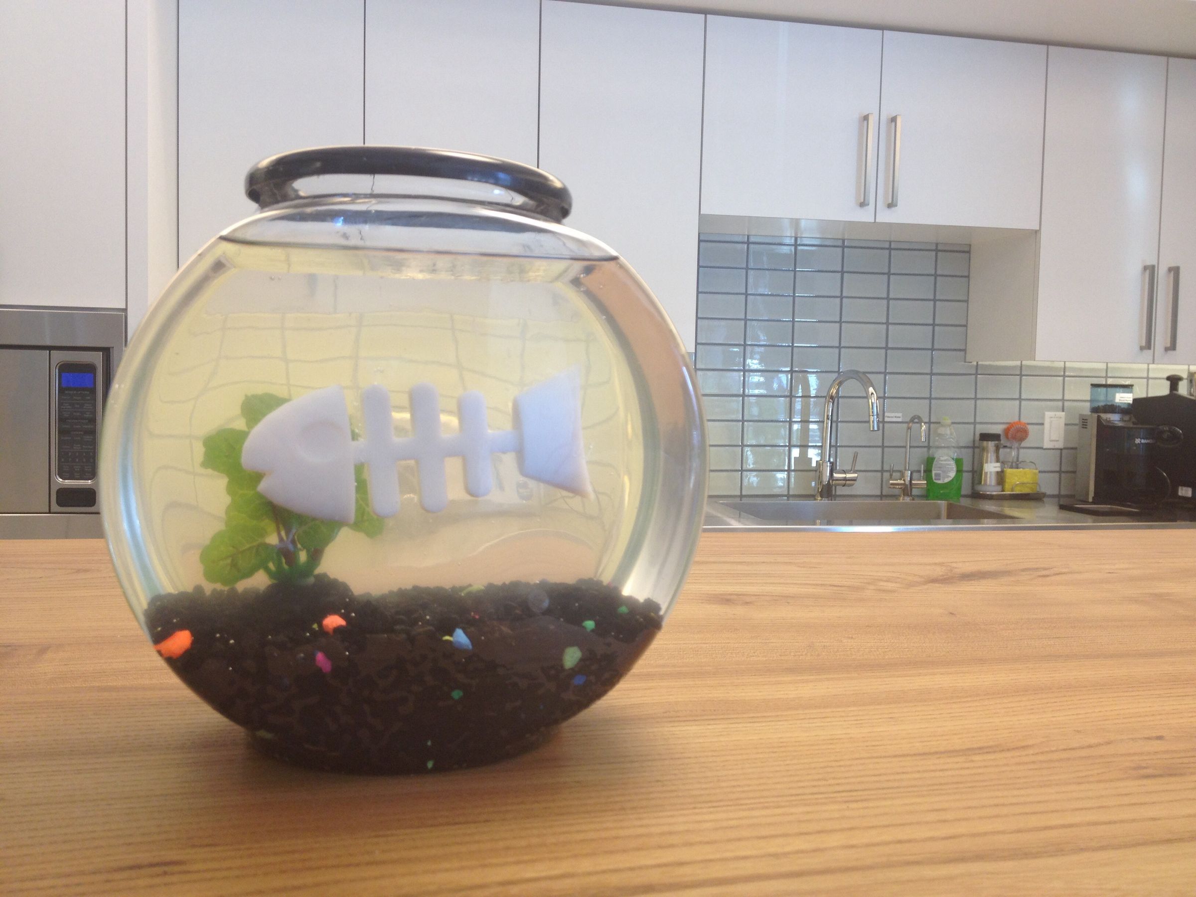 Goldfish Ghost