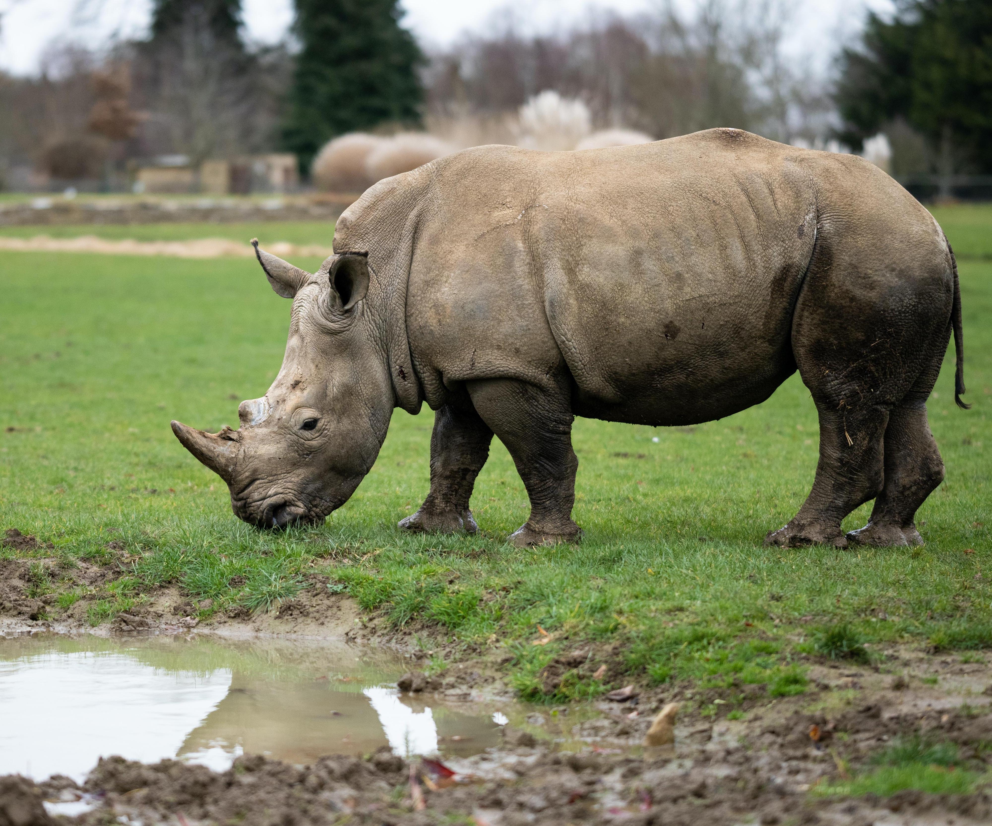 Puzzle 3D With 2D Pieces