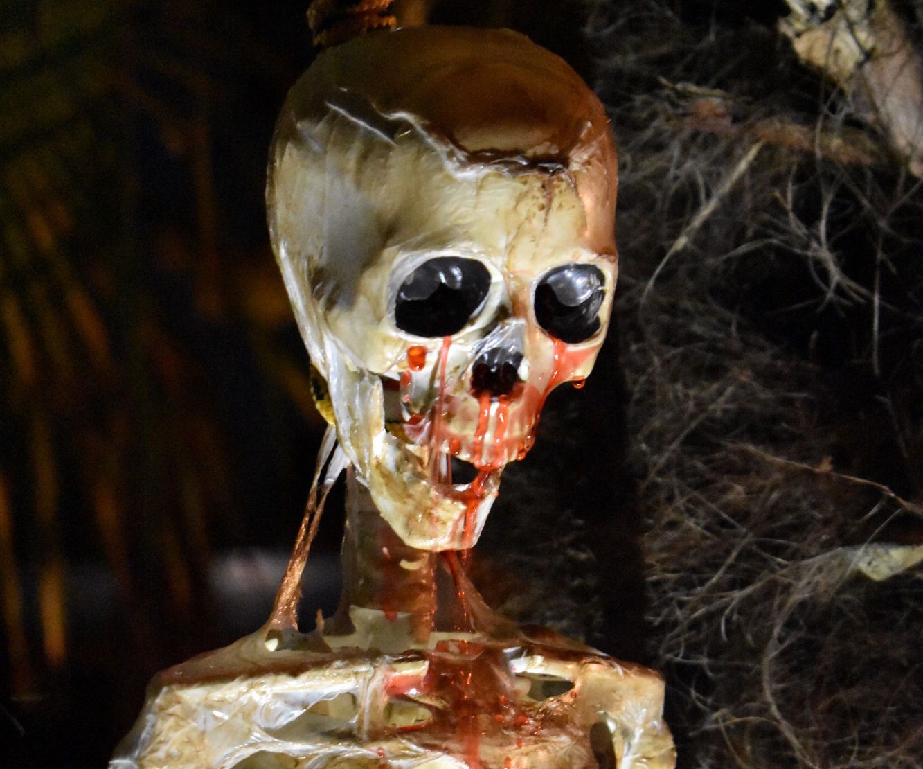 Bleeding Corpse
