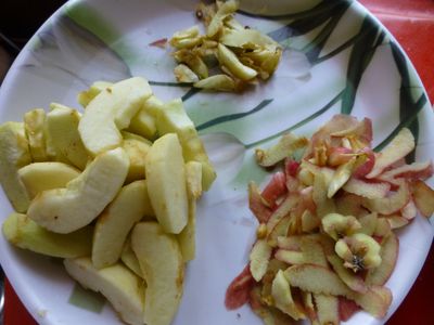 Make Apple Paste