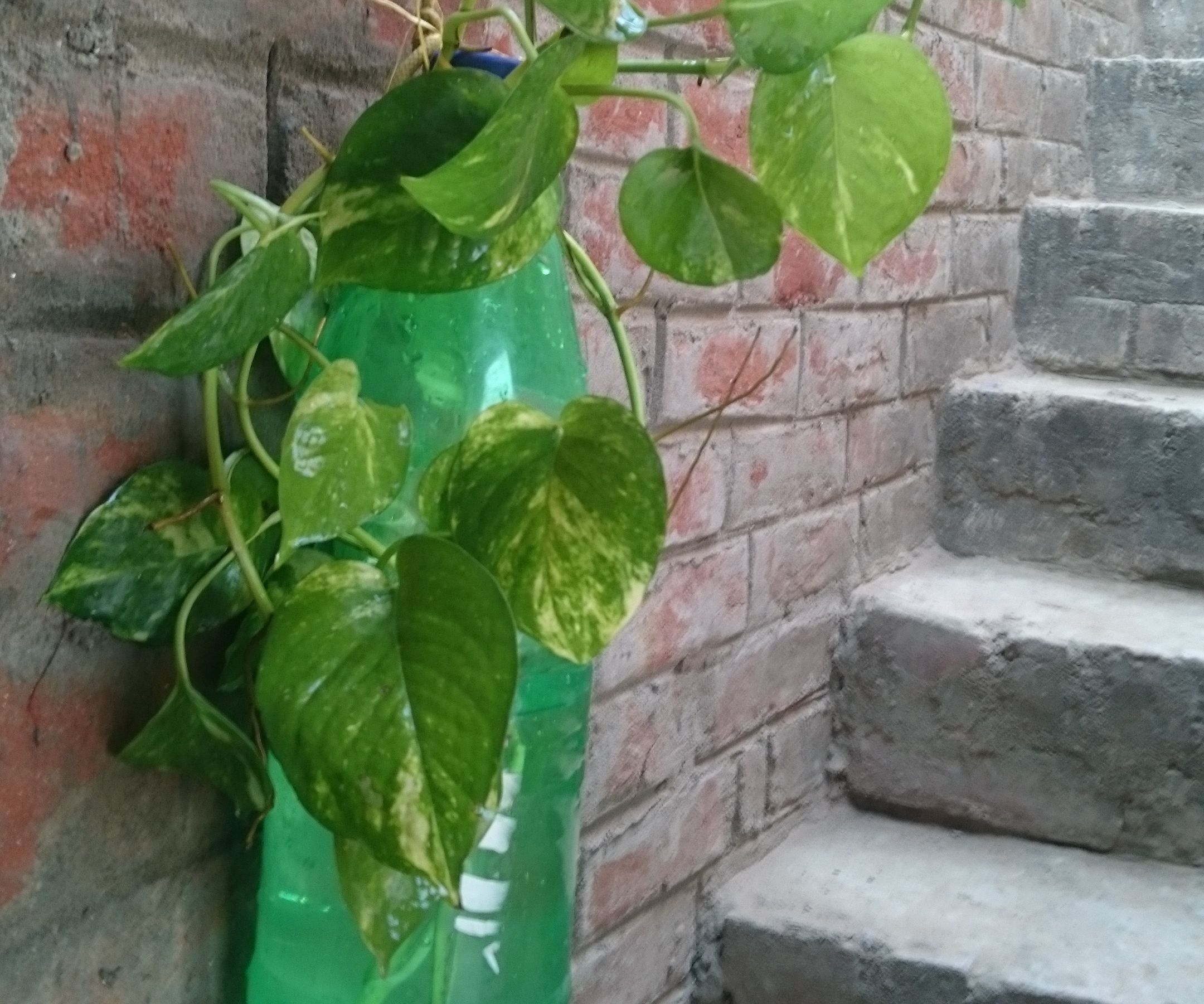 World's Cheapest Air Purifier by Reusing Plastic Bottles