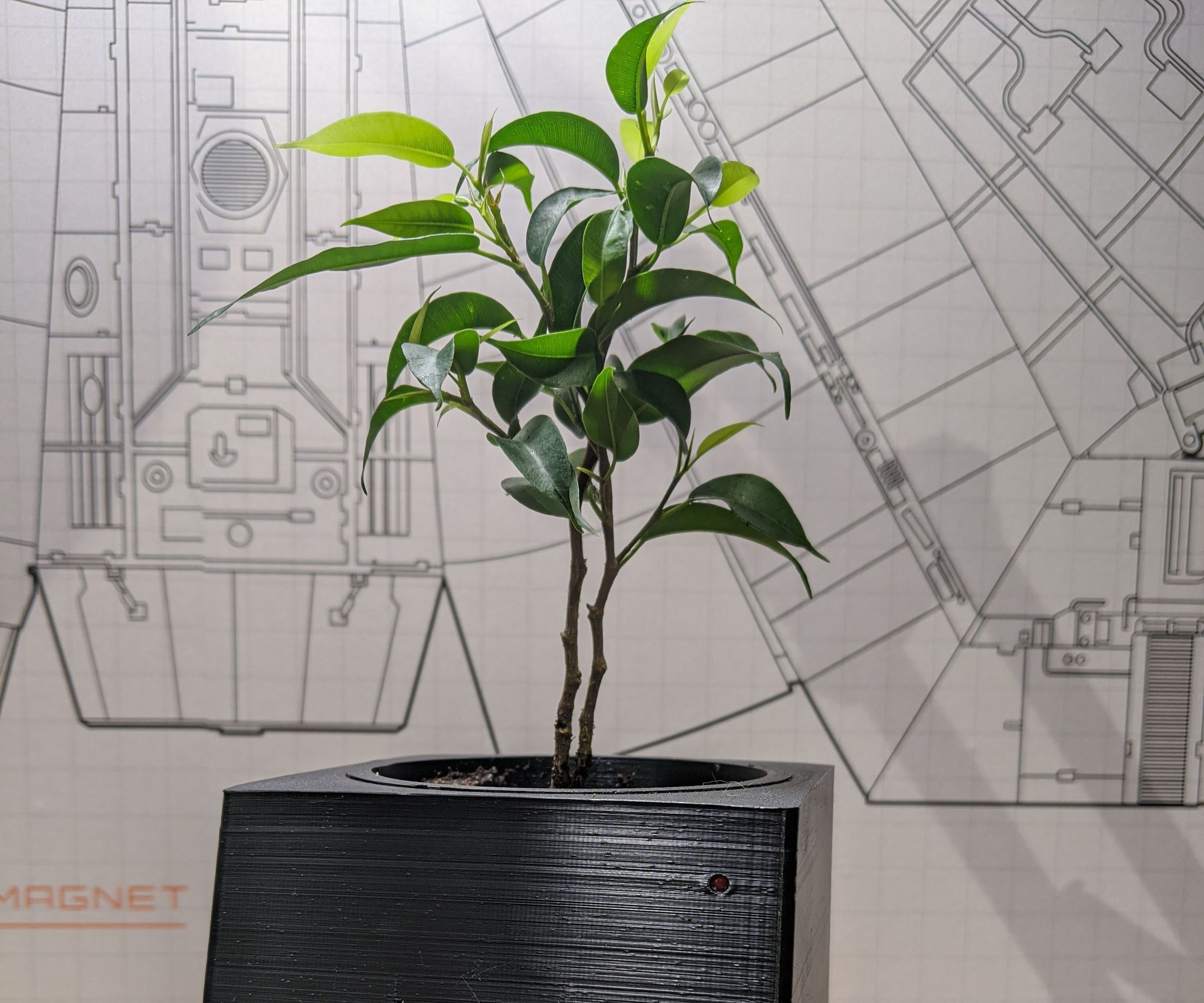 Planter - Smart Solution for Your Favorite Flower