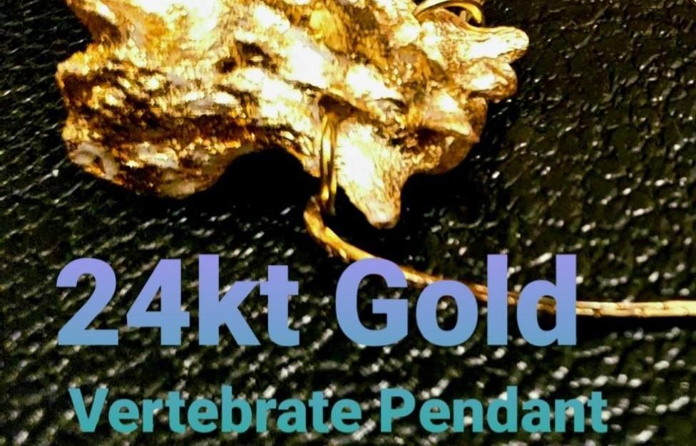 24kt Gold Vertebrate Pendant 