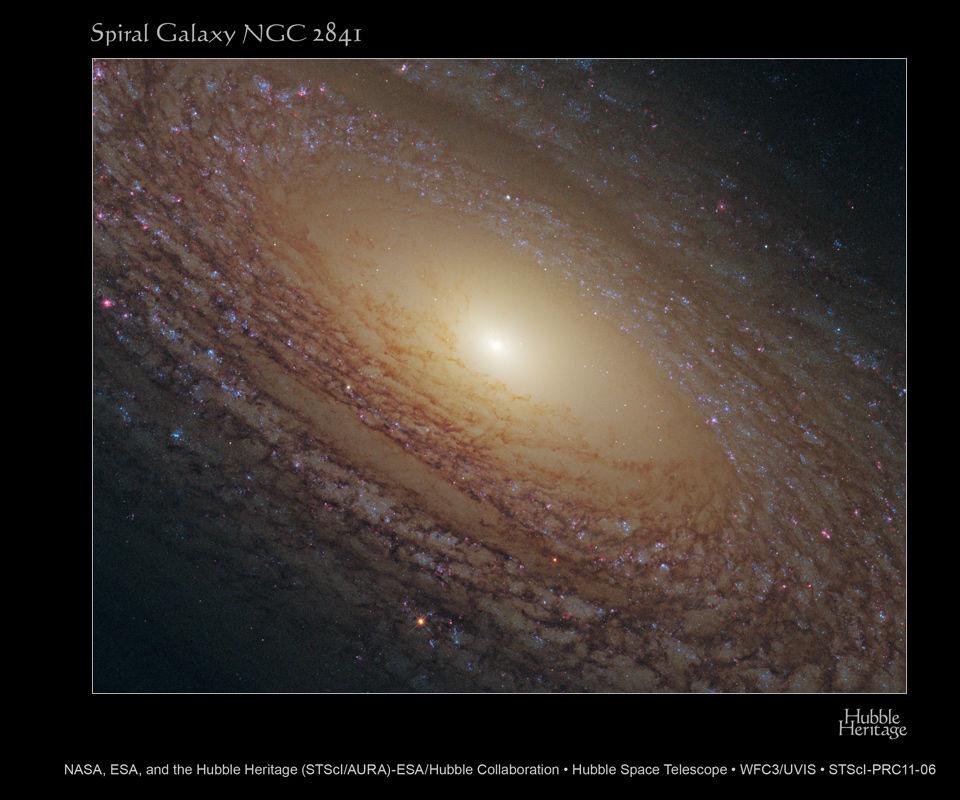 Telescope controller