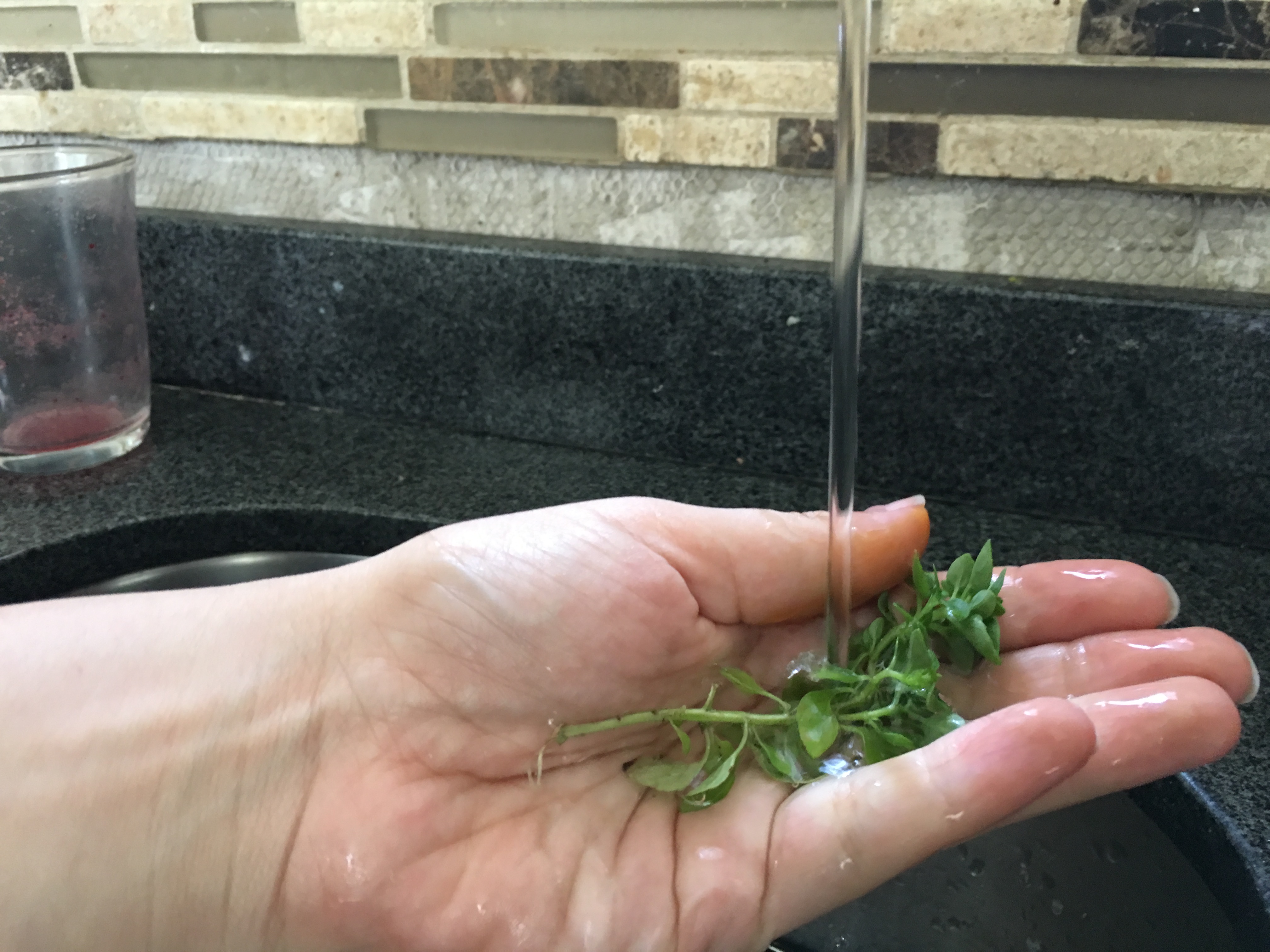 Basil and Garlic Infused Olive Oil 4 Steps Instructables