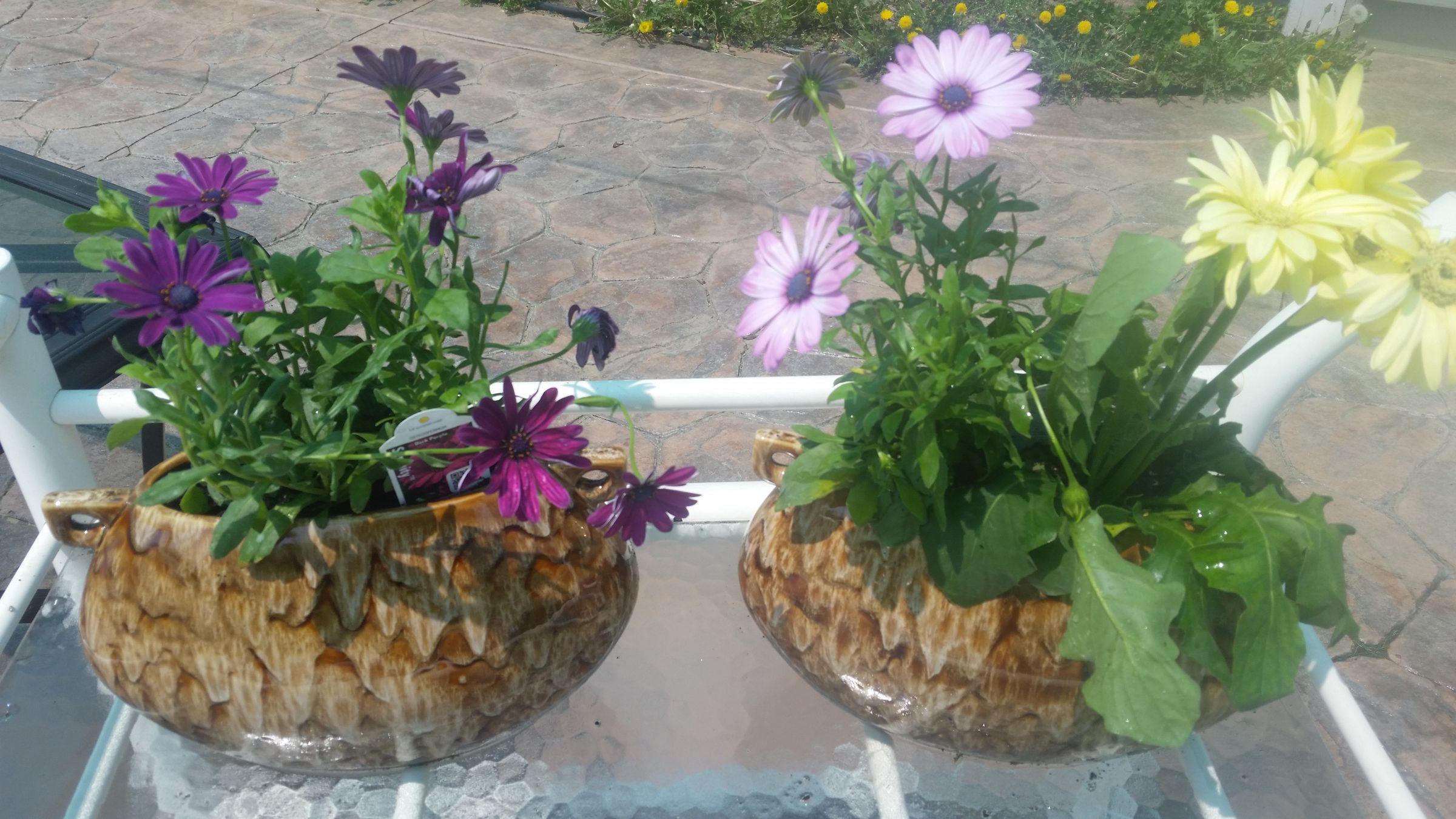 Easy BUT Beautiful Mother's Day Gift