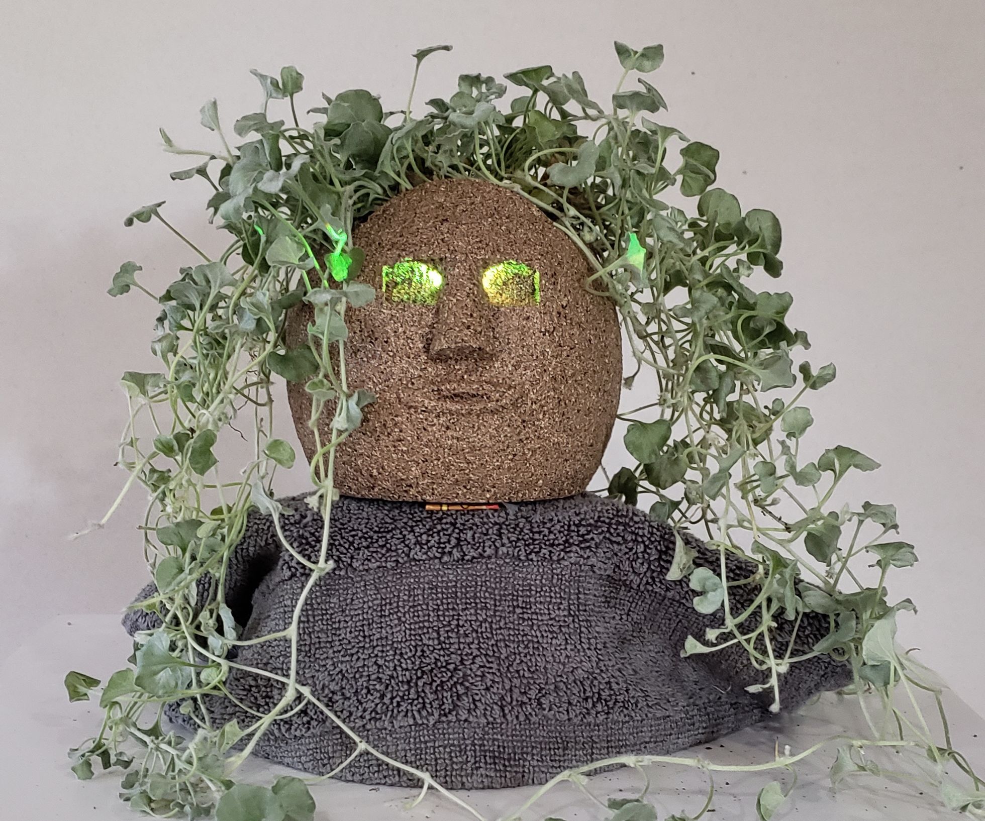 Stone Head Planter