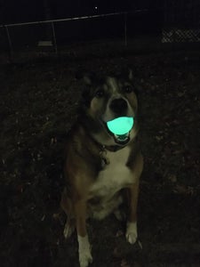 Glow-in-the-Dark Dog Ball UV Recharger