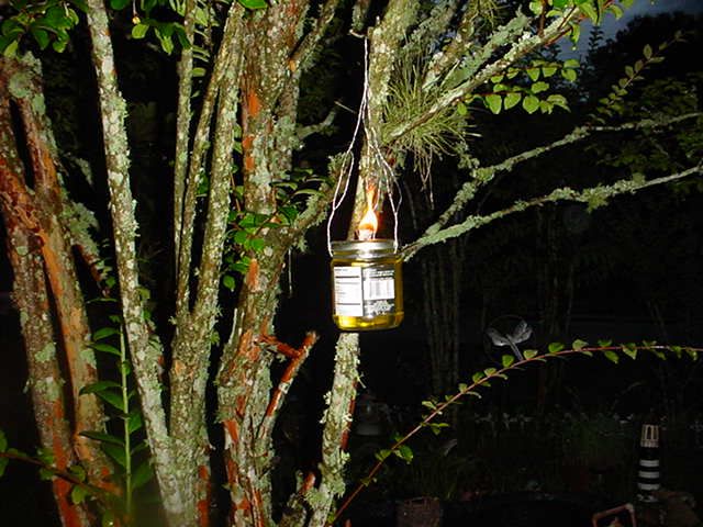 Hanging Oillamp/bug Repellent