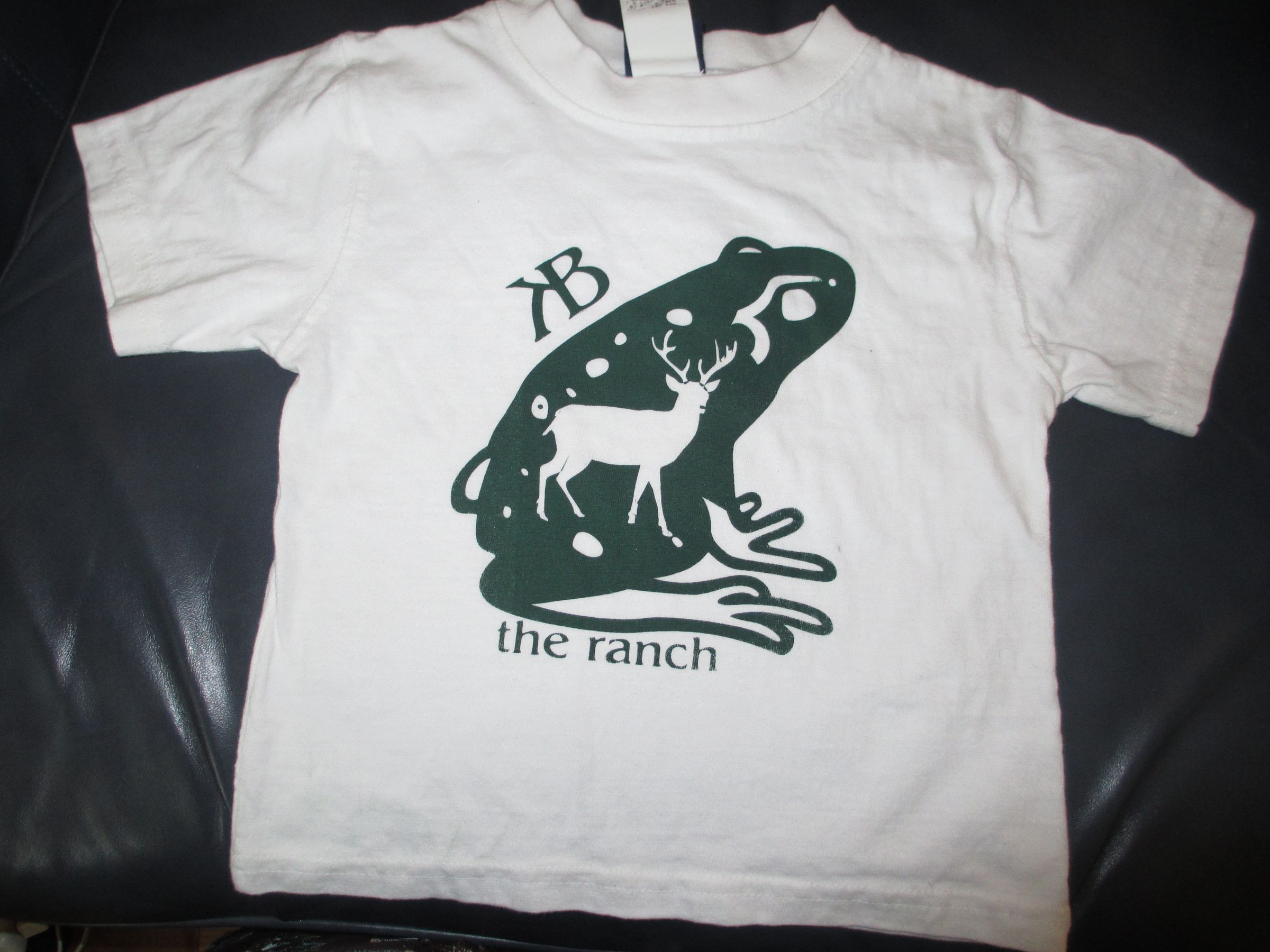 Silk Screening a Tshirt