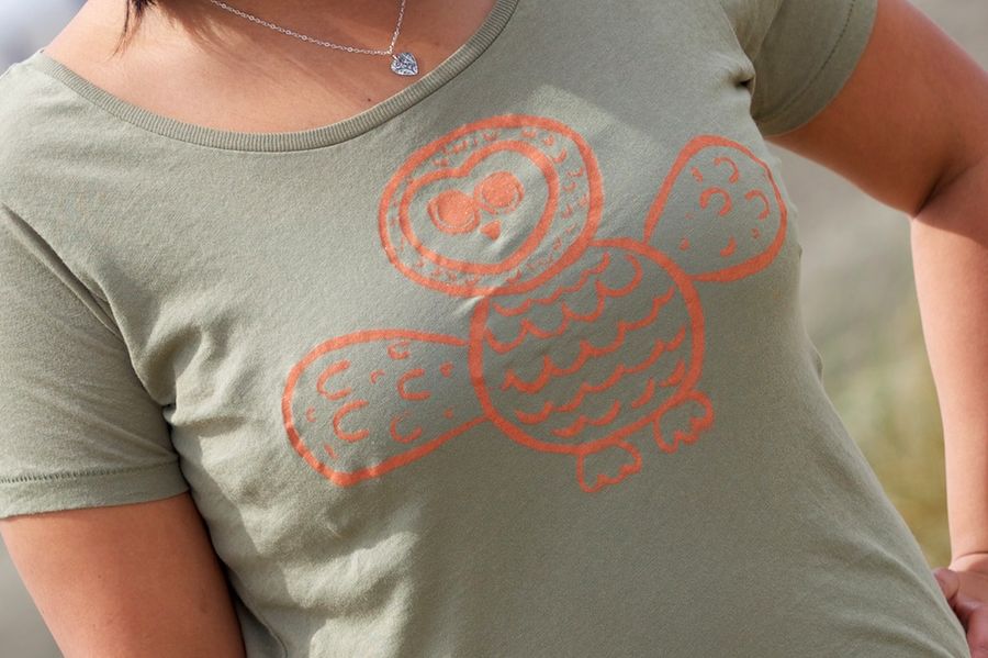 DIY Screen Printing: Easy, Detailed & Inexpensive! : 7 Steps (with ...