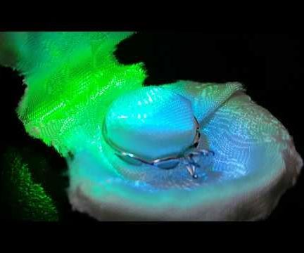 LED-illuminated Seashell Engagement Ring Box