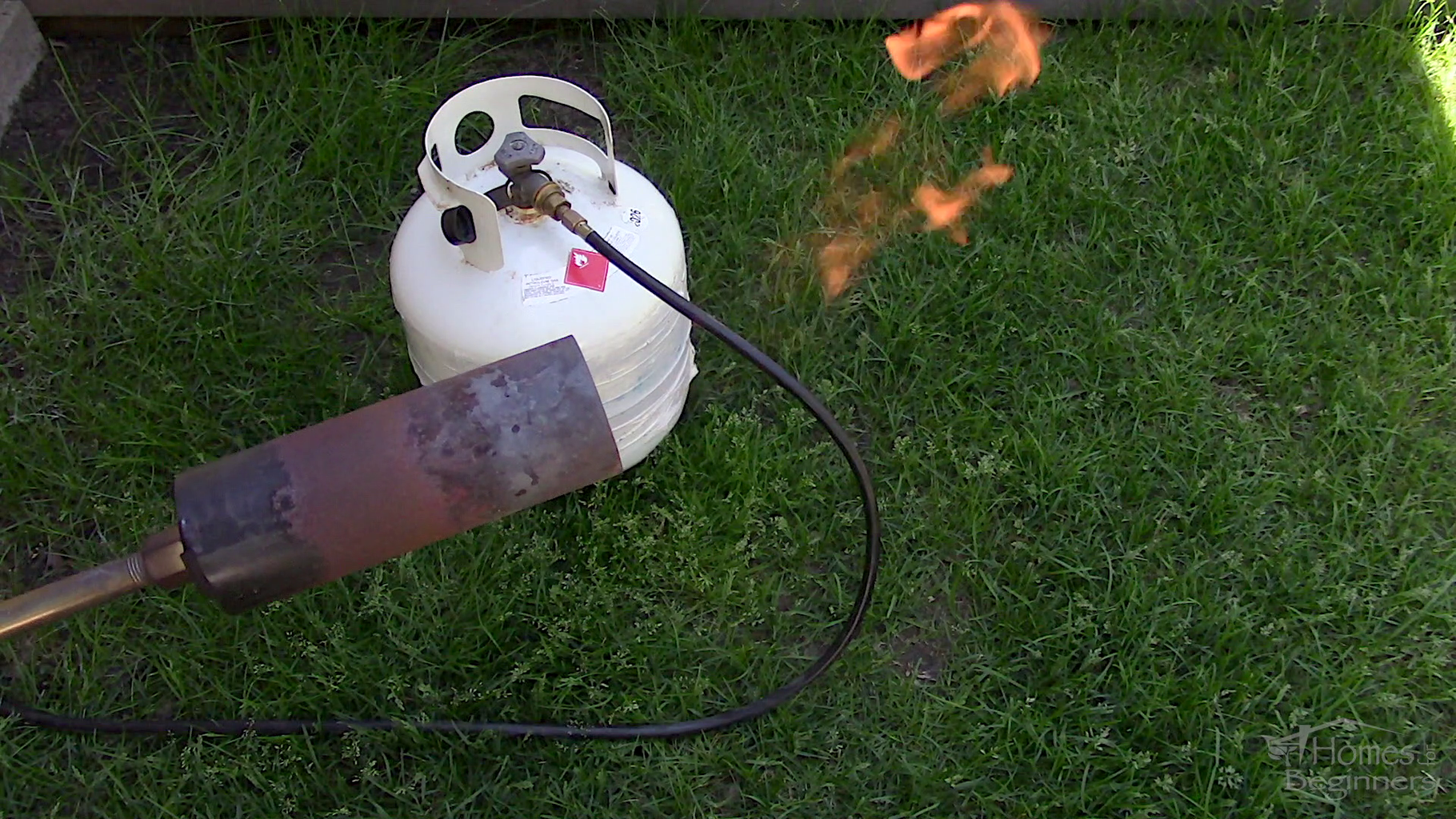 How to Flame Weed the Beginner s Guide 6 Steps Instructables