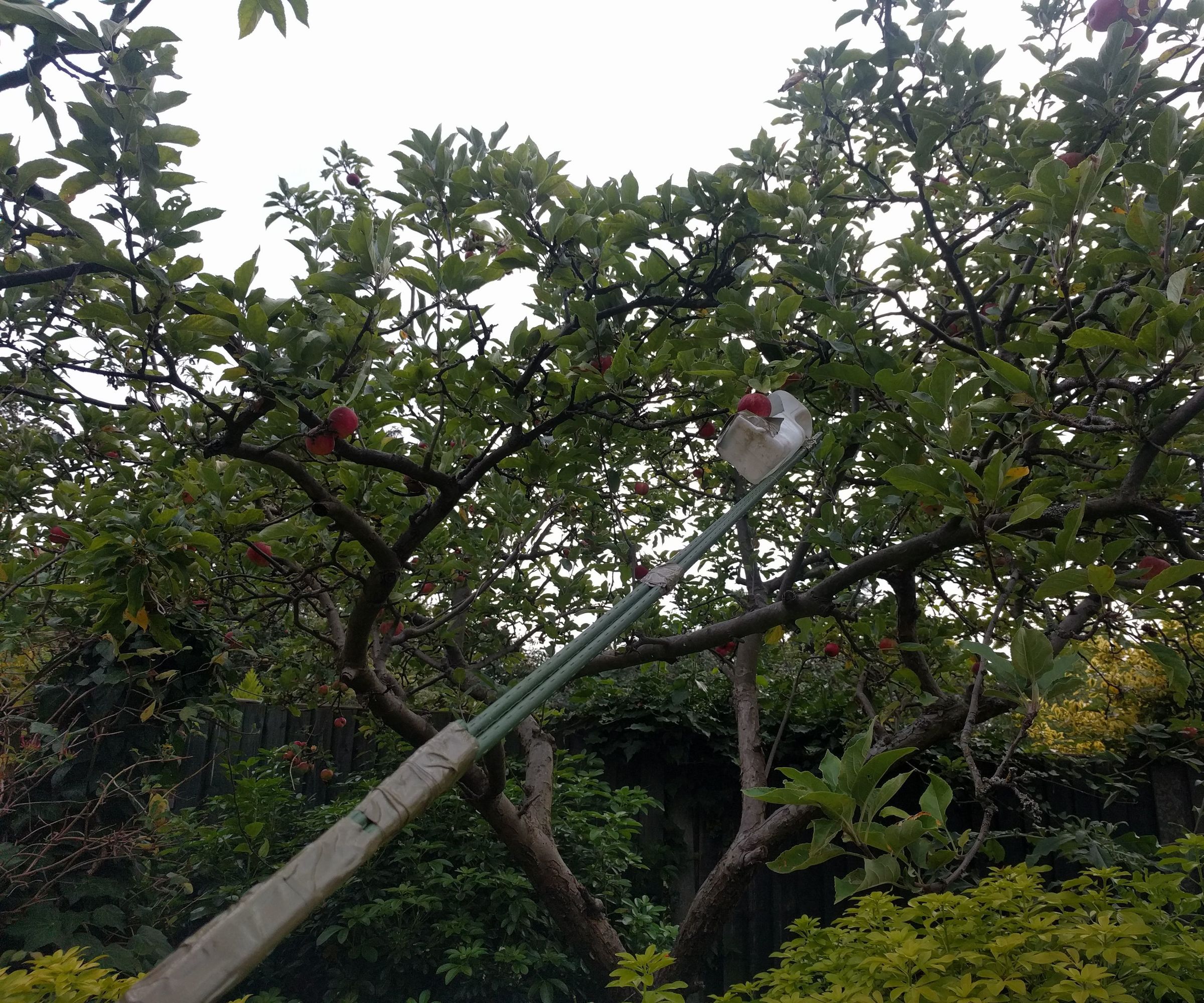 Easy to Make Apple Picker