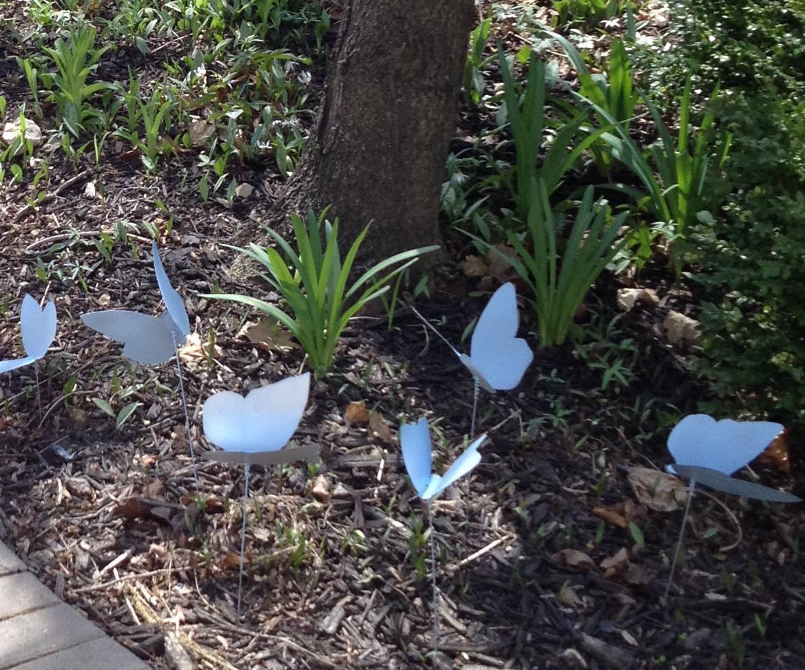 Butterflies in the Grass