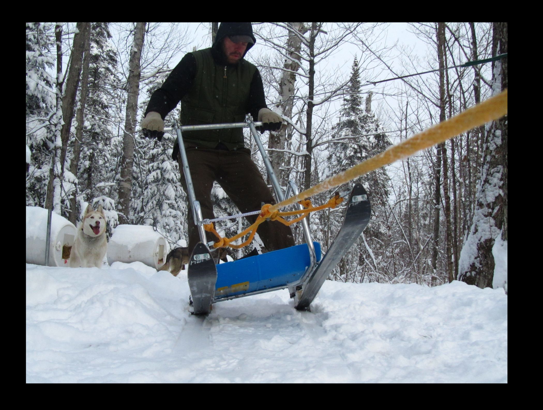 Motorized Dog Sled atelieryuwa.ciao.jp