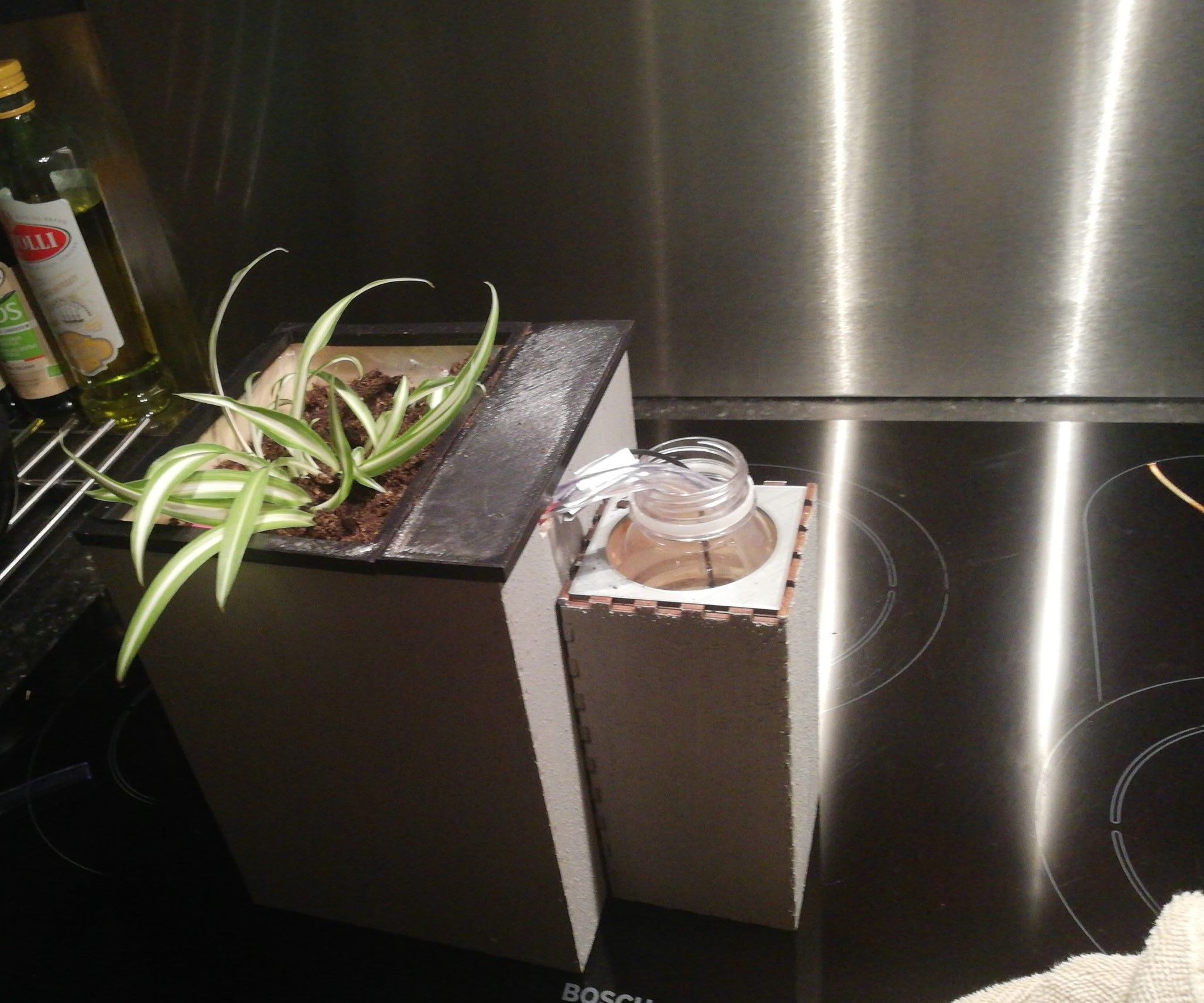 Self Watering Plant Box
