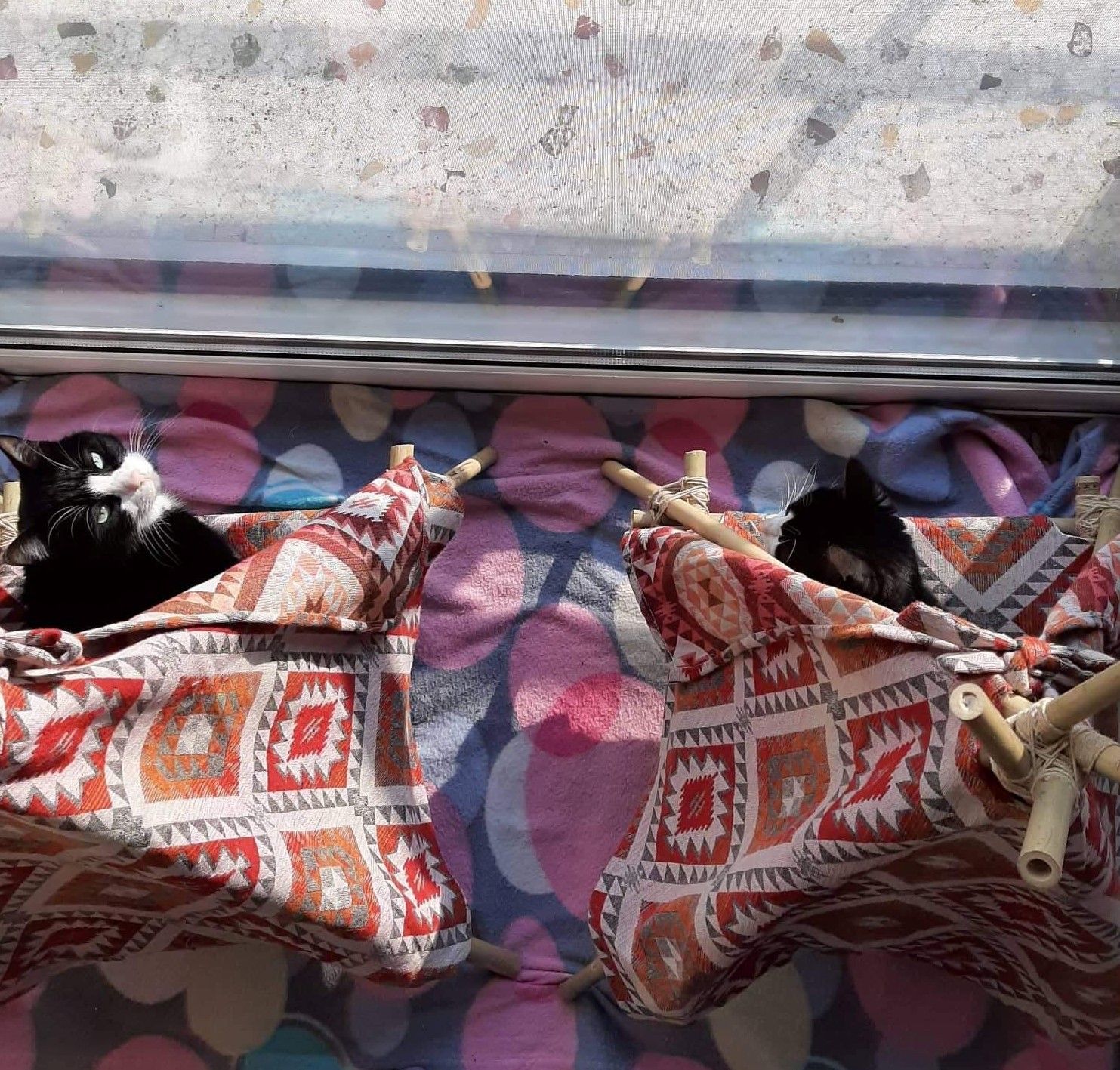 DIY Cat Teepee Tent : 4 Steps - Instructables