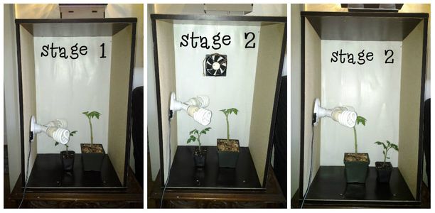 Grow Box - Novice / Entry Level : 8 Steps (with Pictures) - Instructables