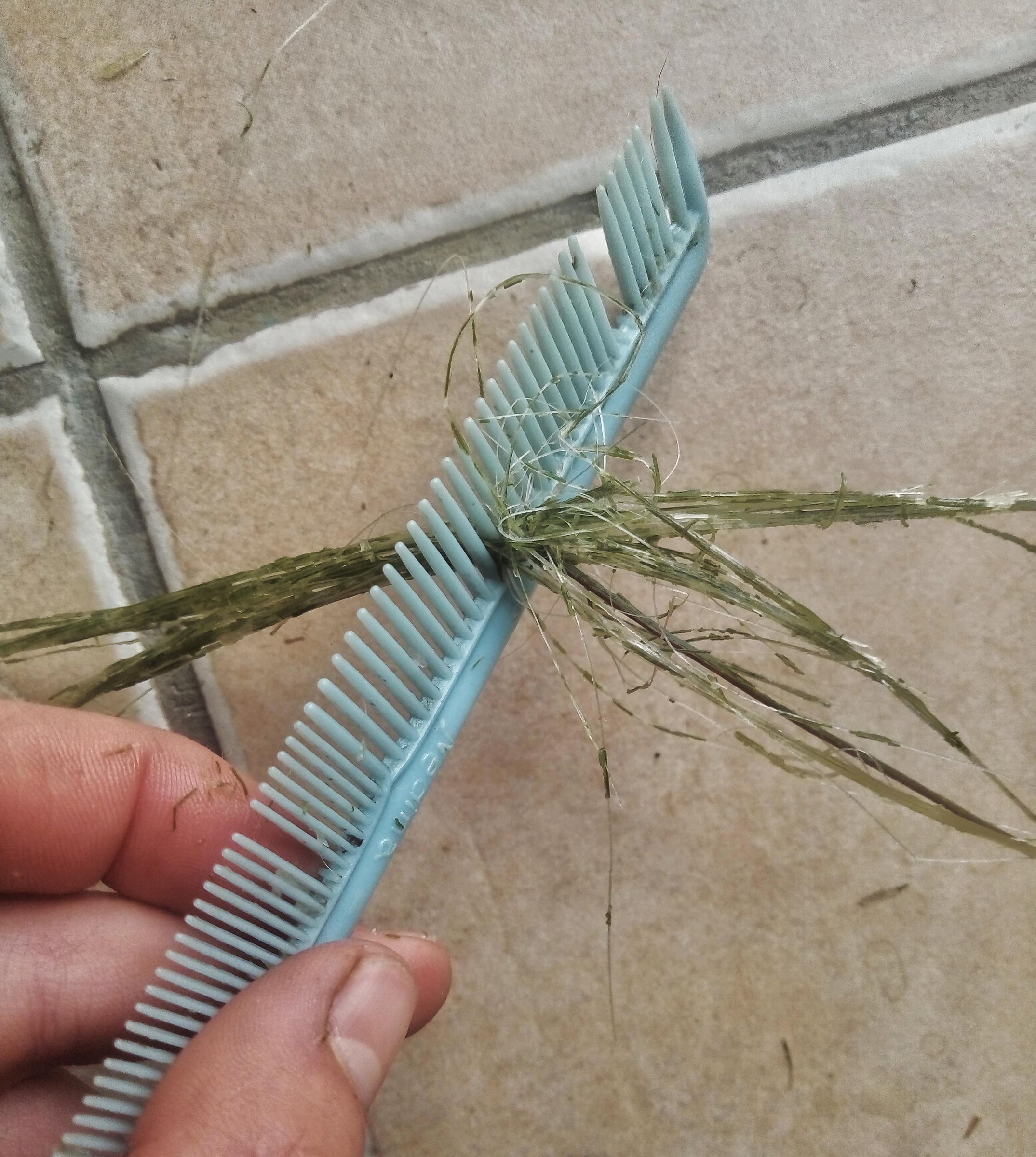 How to Make Rope / String With Natural Plant Fibers : 6 Steps (with ...