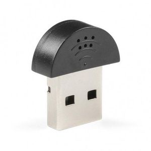 Plug in the Microphone