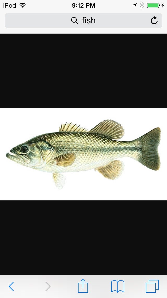 Sewer Fishing How To : 3 Steps - Instructables