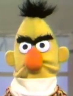 Angry_Bert