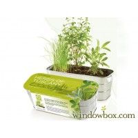 Indoor Gardening Enhances Natural Panorama to Your Interior