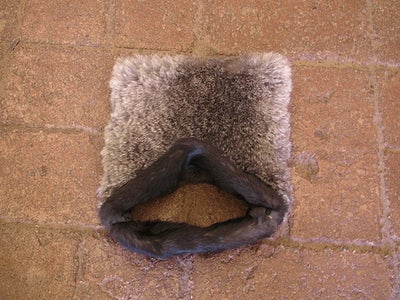 Ankle Warmer