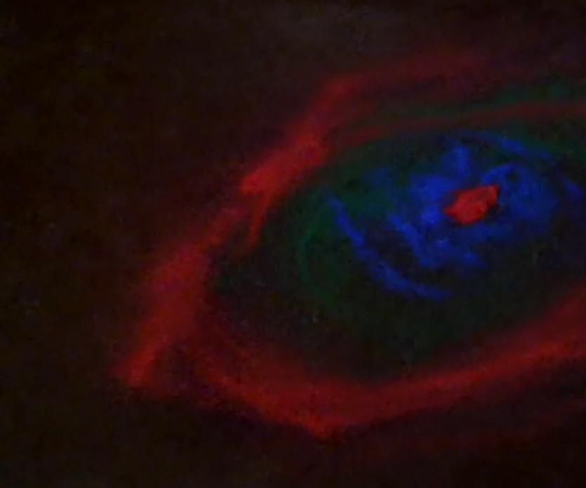 Easy Pendulum Decorater (rangoli Designer)