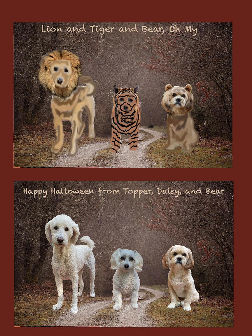 Create Finished Card