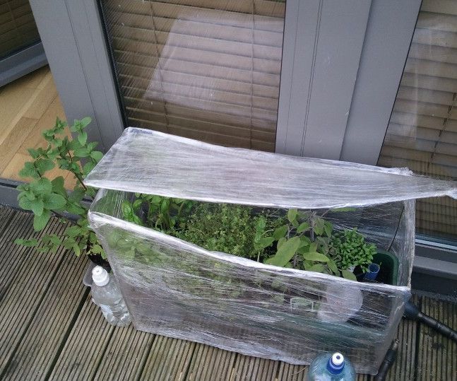 Cling Film + Clothes Hanger Greenhouse