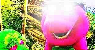 Open an Image