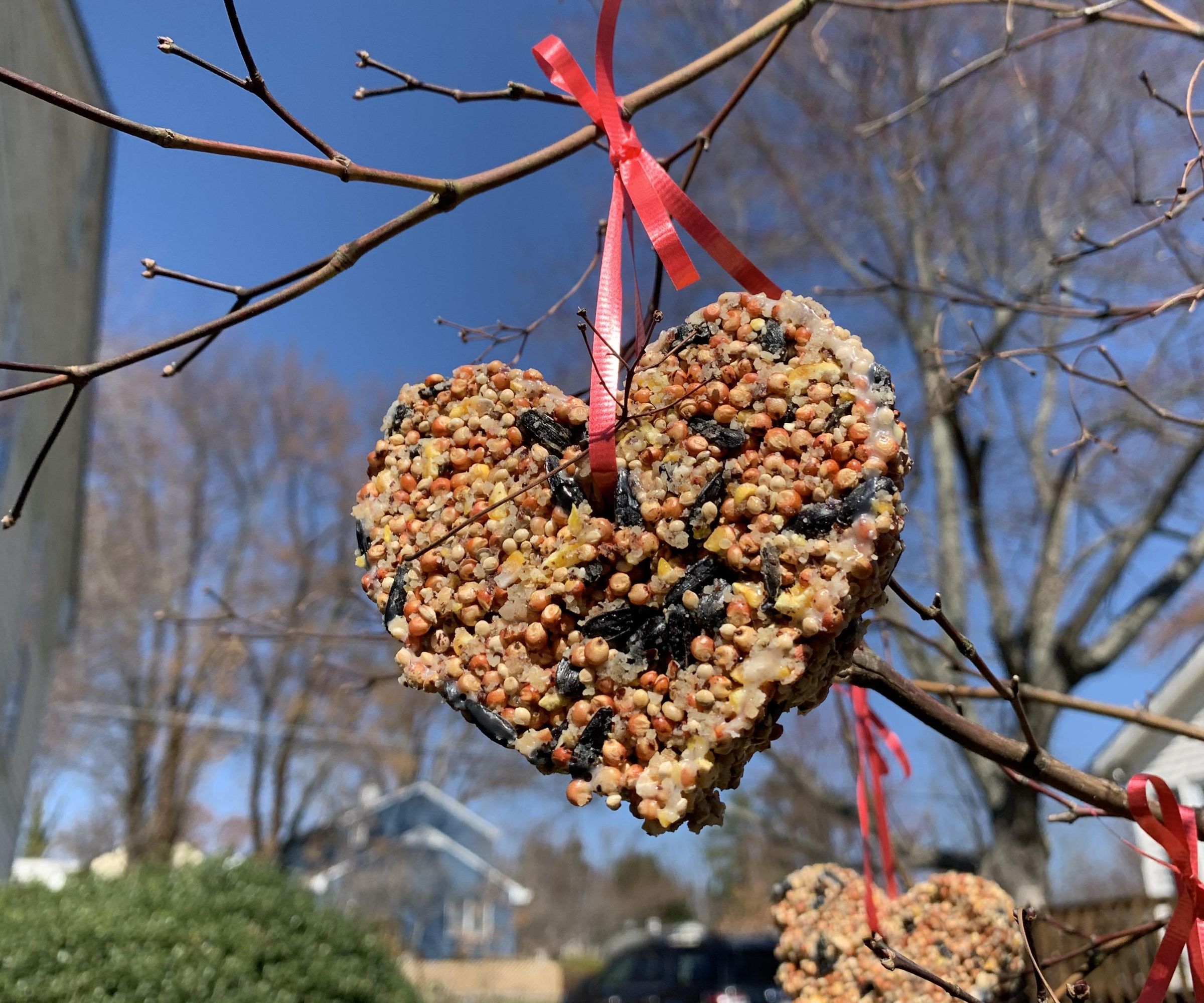 Hanging Bird Seed Hearts : 8 Steps (with Pictures) - Instructables, image size:3024x2520