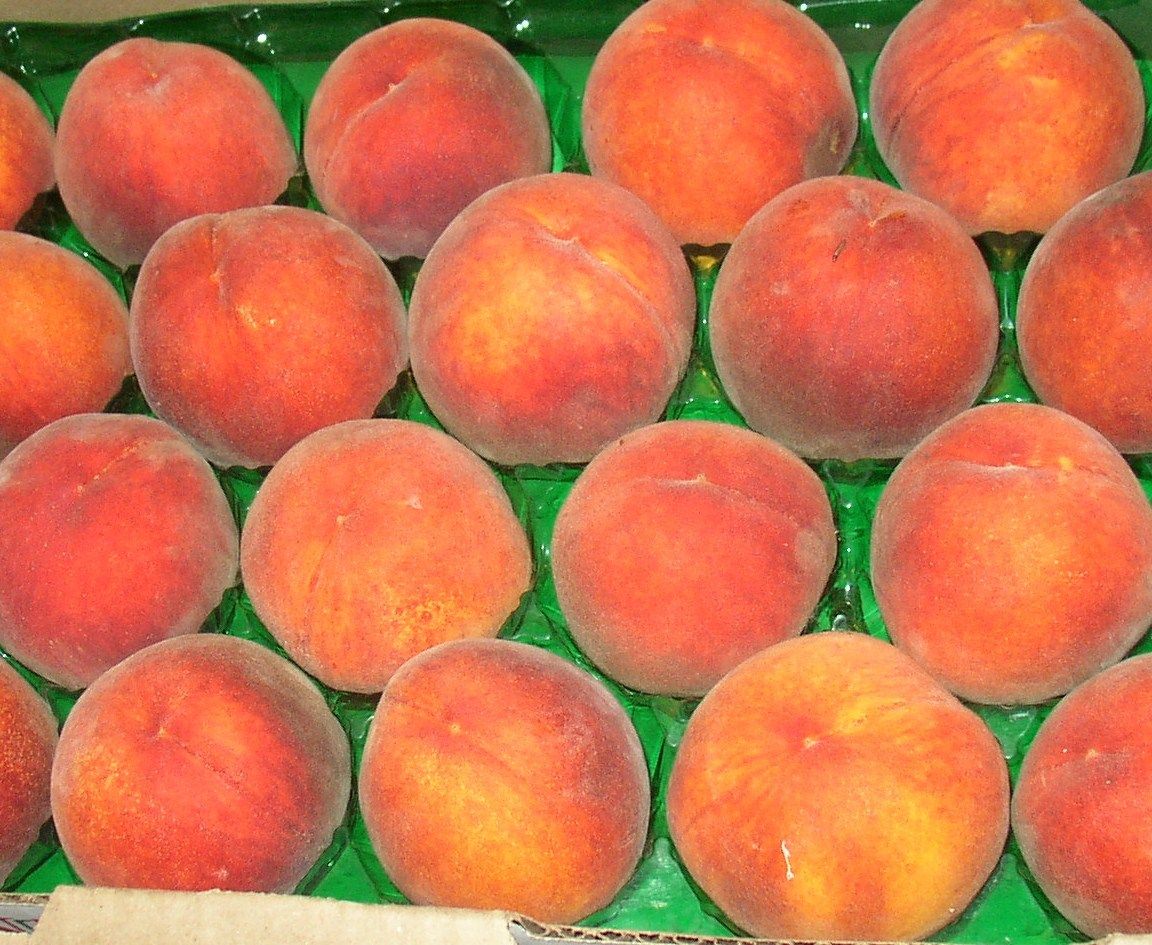 Fresh Peach Cobbler Pie