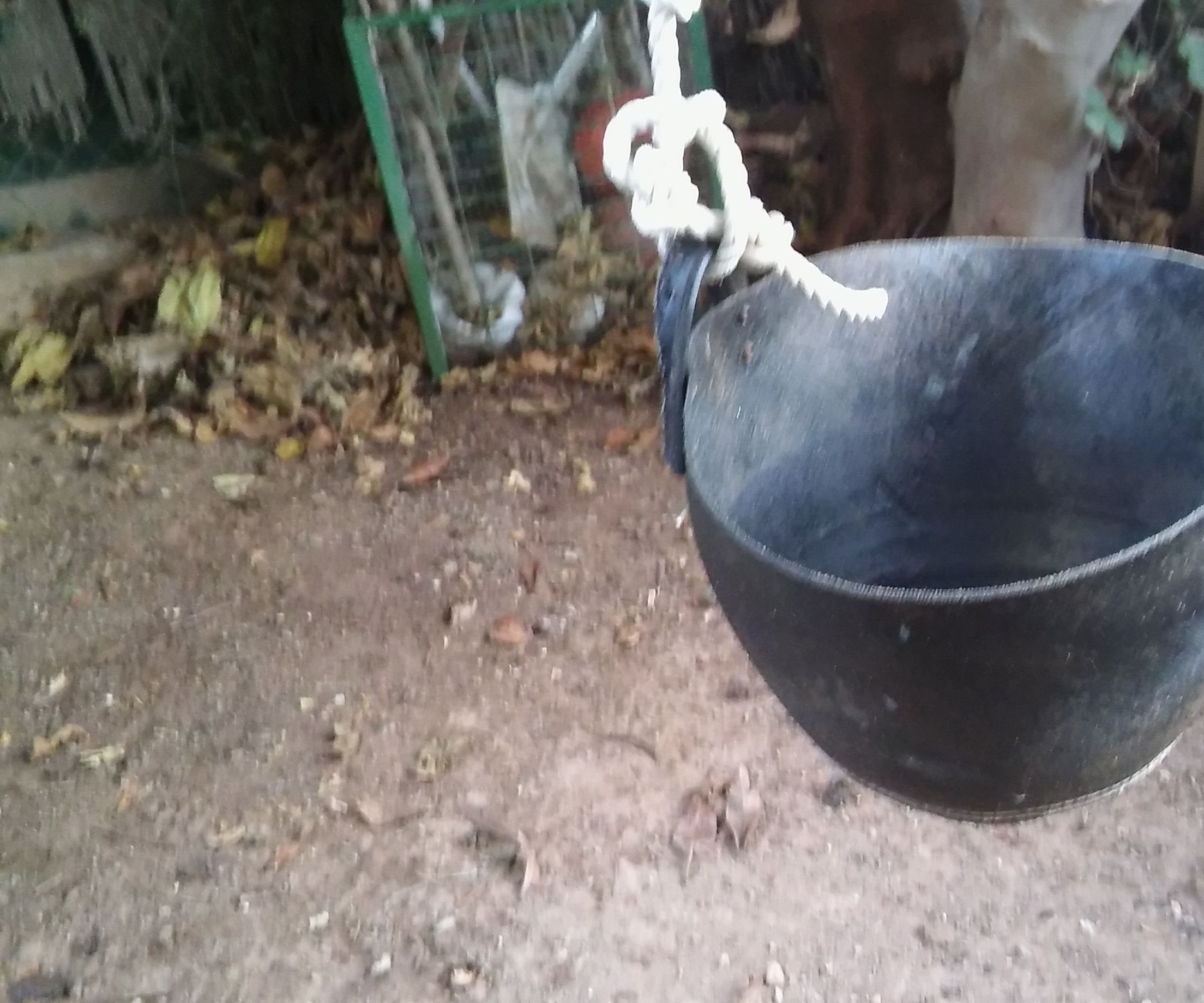 DIY homade swing
