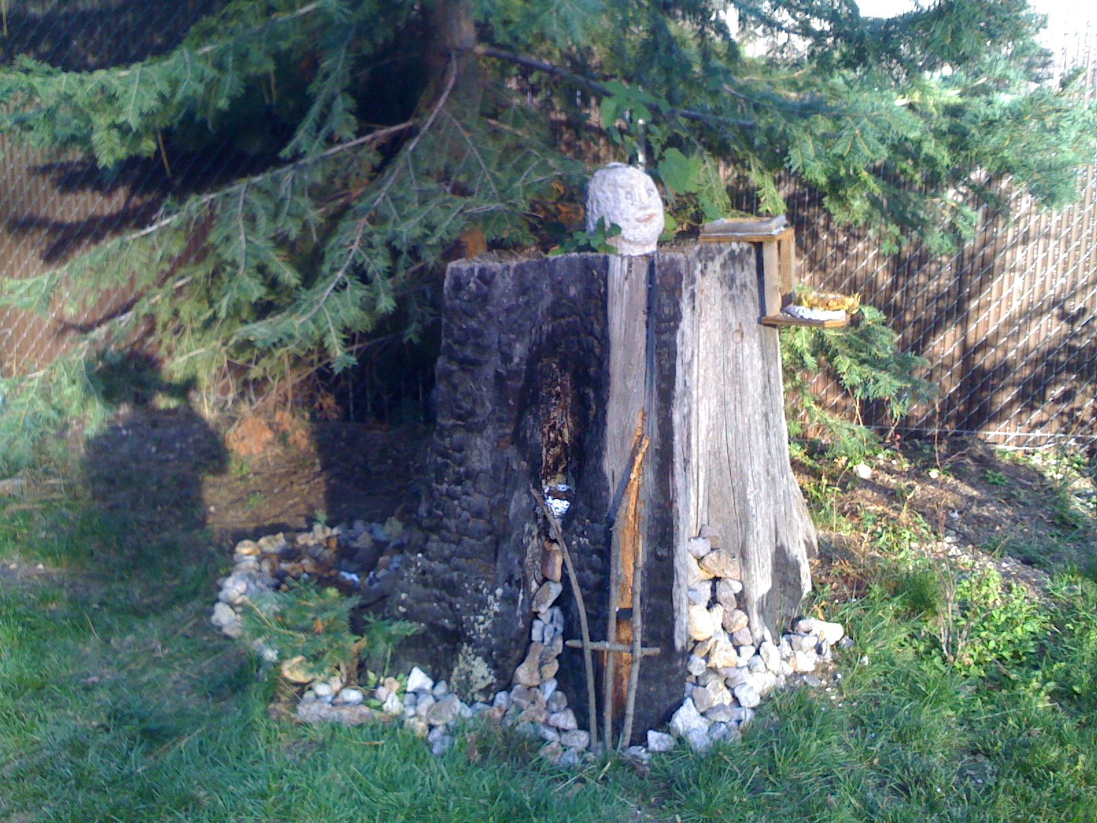 Bird Paradise: Make an Ugly Stump Something You're Proud Of