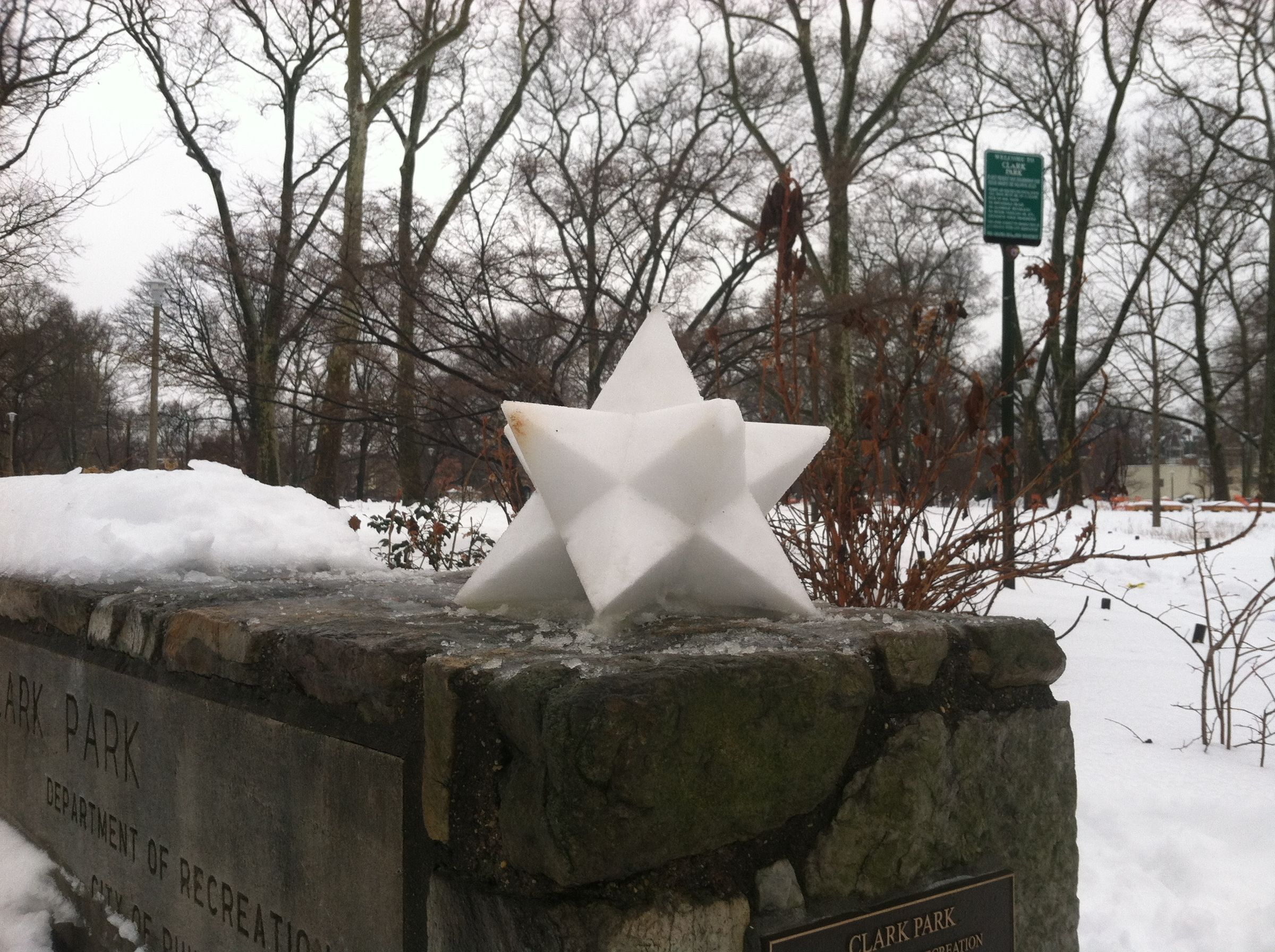 Stellated Snowdecahedra