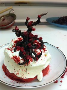 Chocolate Raspberry Tree
