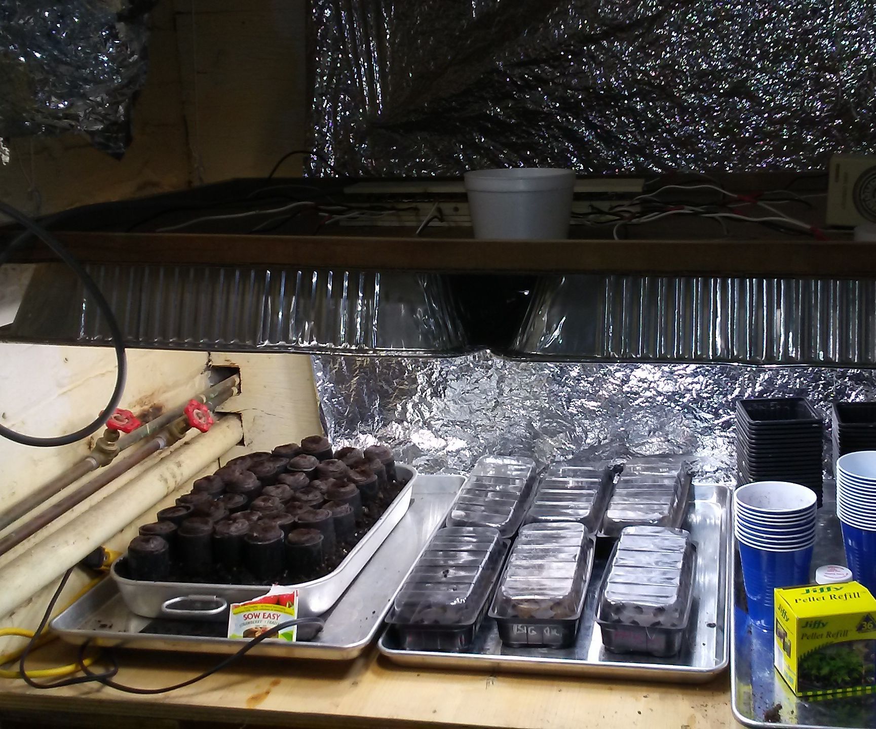 GROW LIGHT