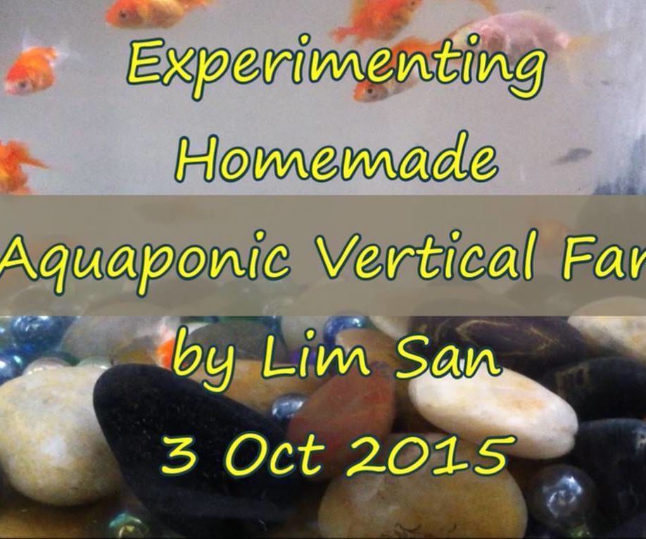 DIY Aquaponic Vertical Farming System With Air-Lift Pump