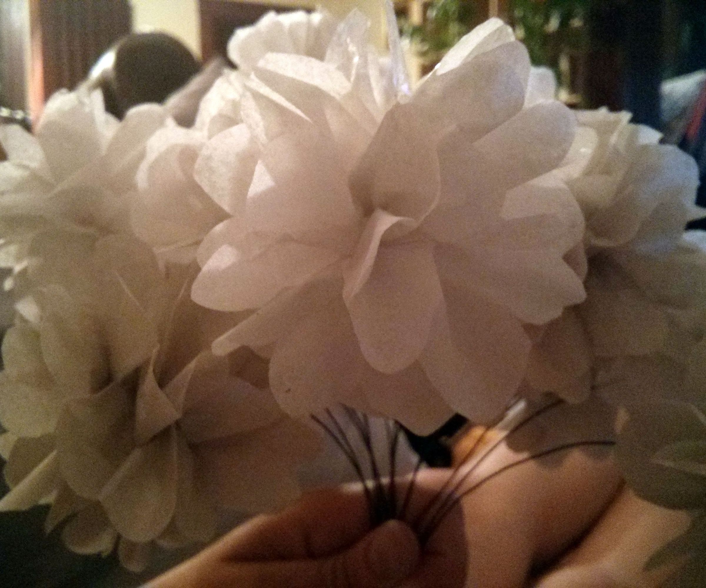 Tissue Paper Peonies