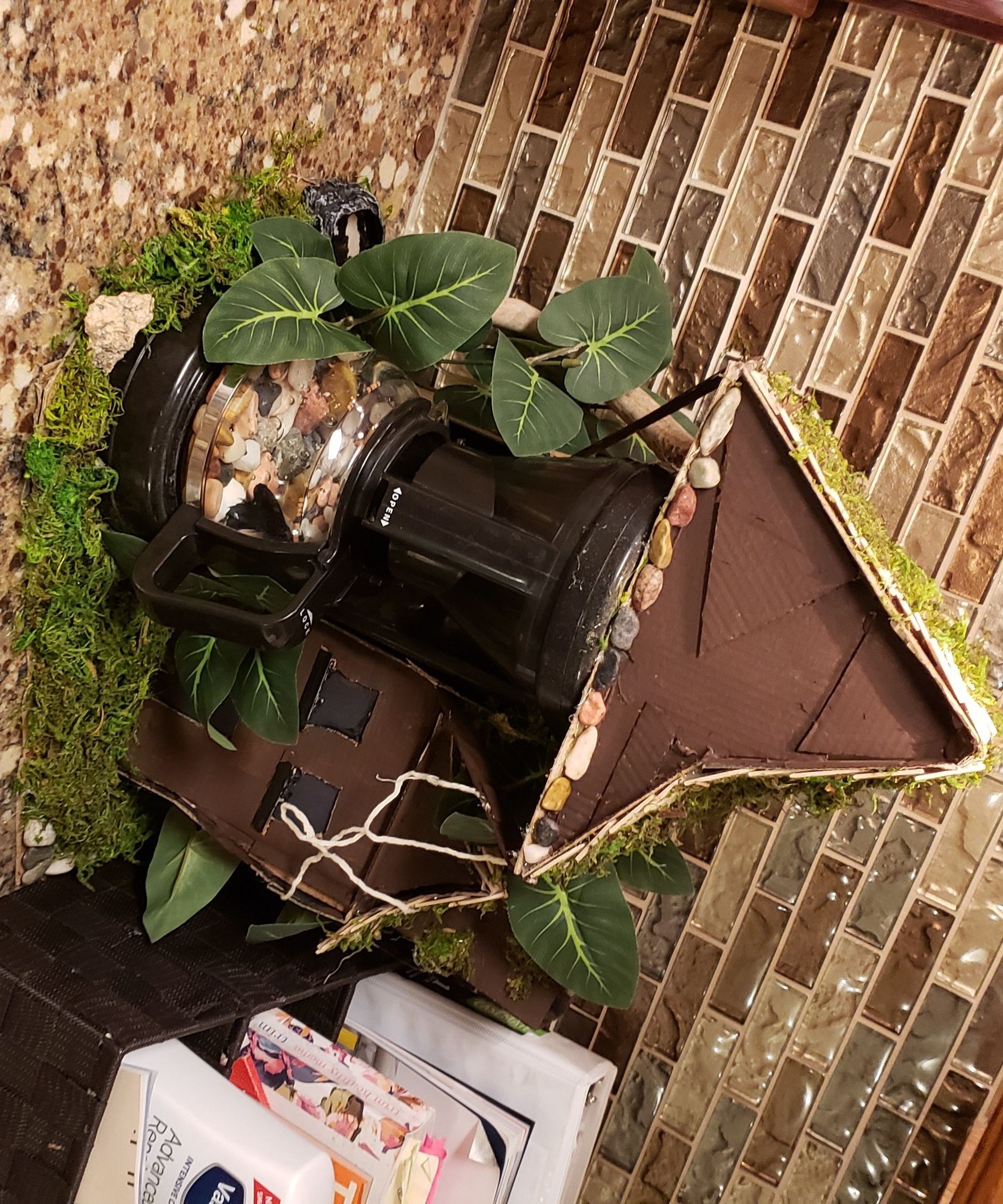 Witch Coffee Fish Tank | for Betta Fish 