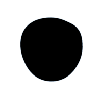 download {{ file.name }}