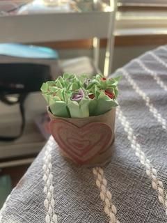 Mini Roses