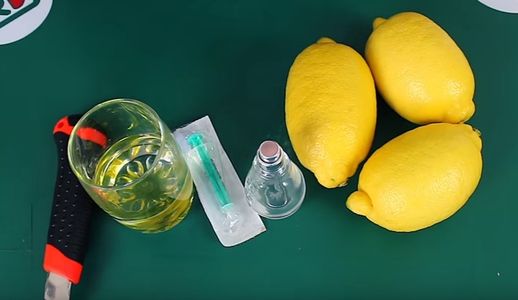 To Do a Lemon and Lime Citrus Sprayers You Need!!!