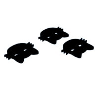 download {{ file.name }}