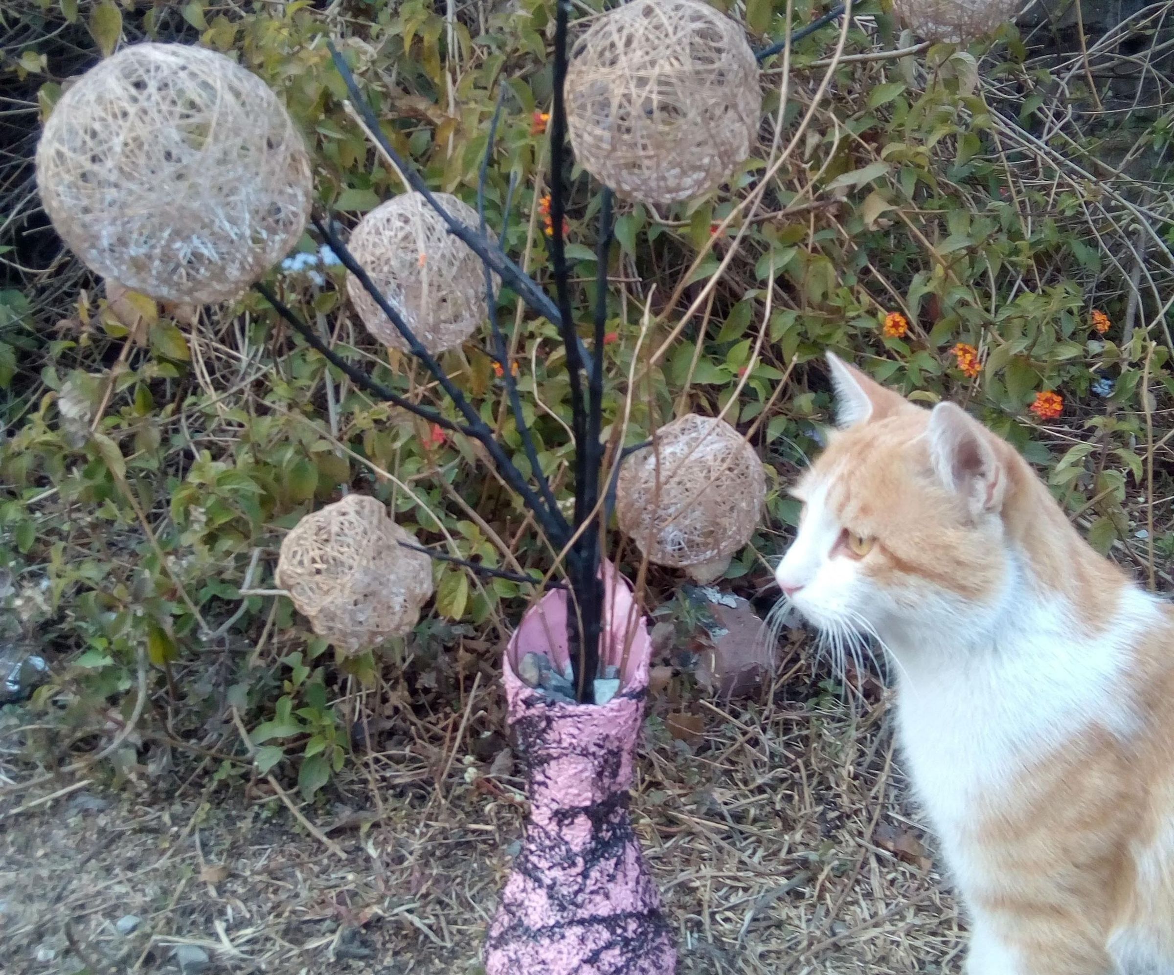 Rice Flower Pot..... 