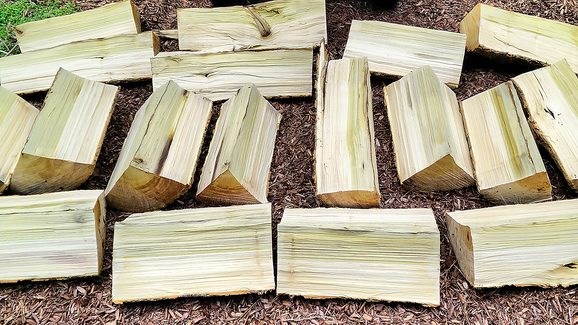 Milling Short Logs on the Bandsaw 11 Steps (with Pictures